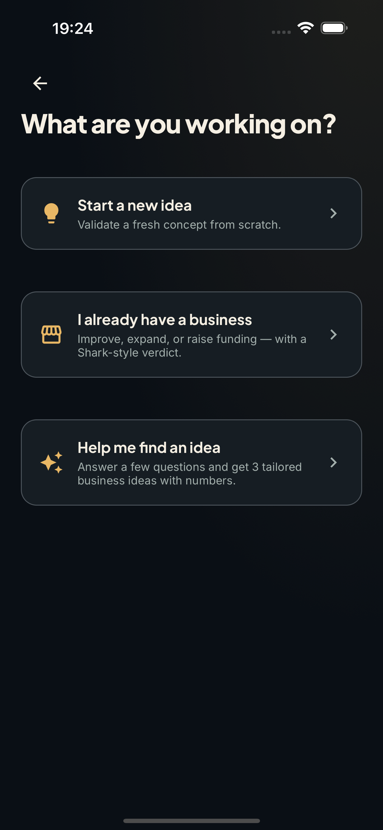 Business plan screen